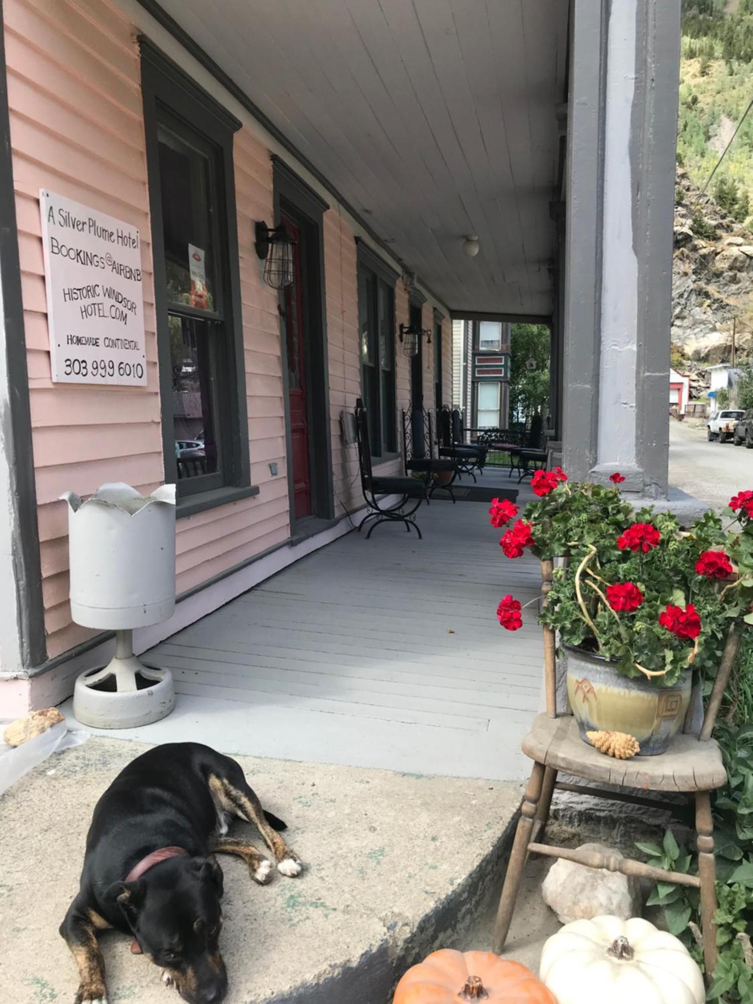 Historic Windsor Bed & Breakfast Silver Plume ภายนอก รูปภาพ