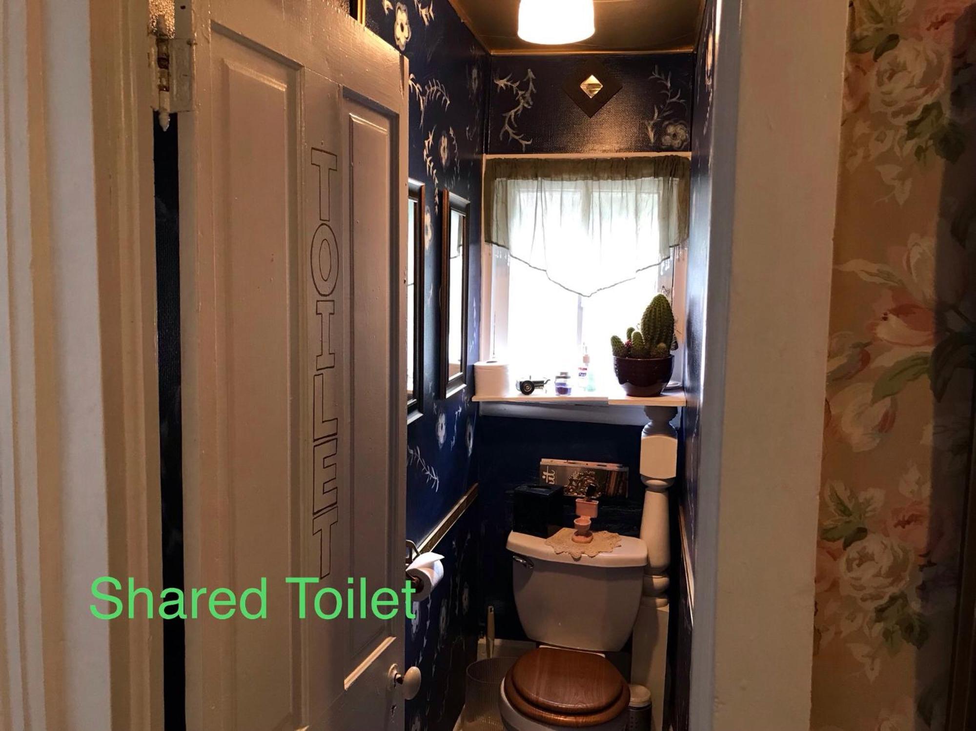 Historic Windsor Bed & Breakfast Silver Plume ภายนอก รูปภาพ